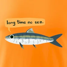 Long time no sea
