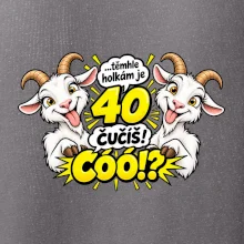 Těmhle holkám je 40, čučíš co?