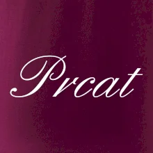 Prcat (souložit vulgárně)