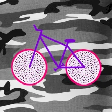 Kolo dračí ovoce (Moňas)