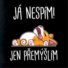 Já nespím, jen přemýšlím