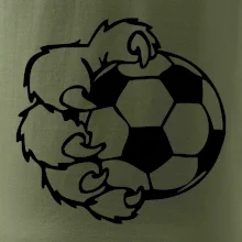 Medvědí tlapa fotbal