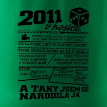 2011 v kostce