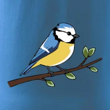 Sýkorka modřinka na větvi