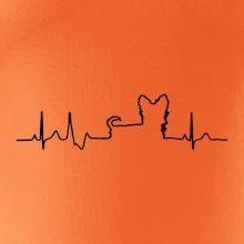 Jorkšírský teriér EKG