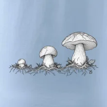 Životní cyklus hřibu