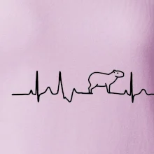 Ekg Capybara