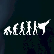 Karate Evoluce - kop Karate Evoluce - kop