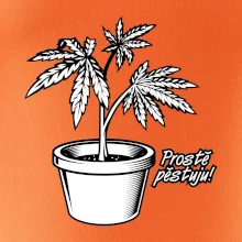 Konopi prostě pěstuju