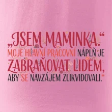 Moje hlavní pracovní náplň je zabraňovat lidem