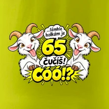 Těmhle holkám je 65, čučíš co?