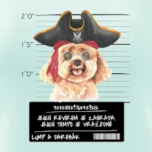 Lump a darebák pudl