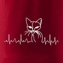 EKG křivka kočka