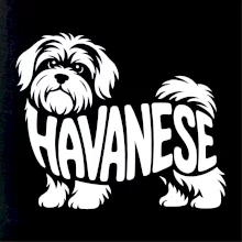 Havanese nápis v těle