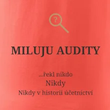 Miluju audity řekl nikdo nikdy