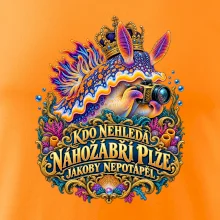 Král makra nahožábří plž s fotoaparátem