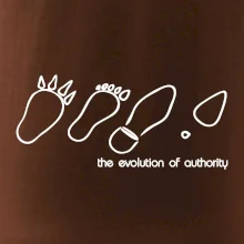 Evolution of authority