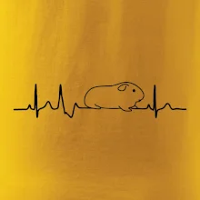 EKG morče EKG morče
