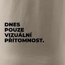 DNES POUZE VIZUÁLNÍ PŘÍTOMNOST.