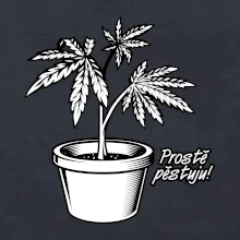 Konopi prostě pěstuju