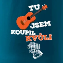 Tu kytaru jsem koupil kvůli tobě