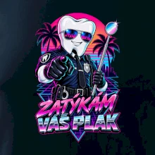 Zatýkám váš plak