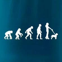 Lagotto romagnolo Evoluce