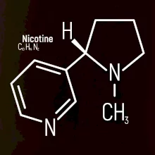 Molekulární struktura Nikotin