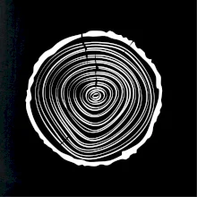 Letokruhy 20 bez věku