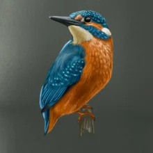 Lednáček kreslený