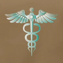 Hrdinové zdravotnictví - logo (Pecka design)