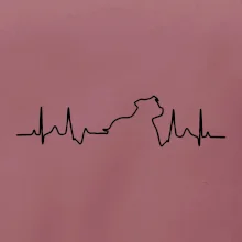 Stafordšírsky bulteriér EKG