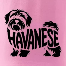 Havanese nápis v těle