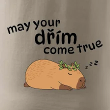 May your dřím come true