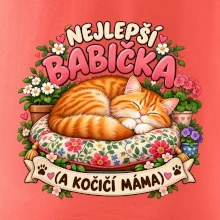 Nejlepší babička a kočičí máma spící zrzavý kocour