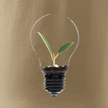 Žárovka květináč
