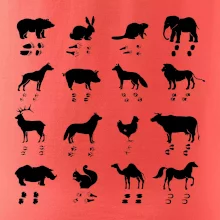 Zvířecí stopy s obrázkem zvířete - stopy zvířat