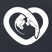 Jezevčík srdce - plný