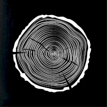 Letokruhy 45 bez věku