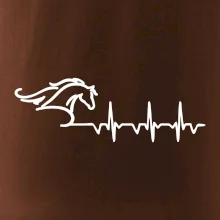 Hlava koně EKG