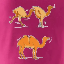 Pravda o velbloudech