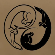 Jezevčíci - Jin jang