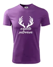 Harry - Expecto patronum