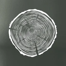 Letokruhy 95 bez věku