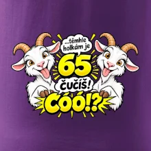 Těmhle holkám je 65, čučíš co?