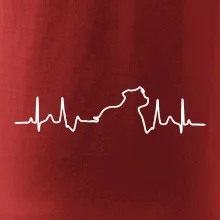 Stafordšírsky bulteriér EKG