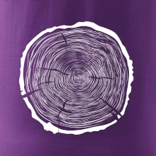 Letokruhy 65 bez věku