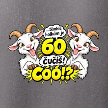 Těmhle holkám je 60, čučíš co?