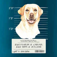 Lump a darebák labrador