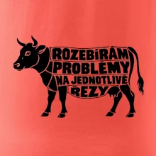 Rozebírám problémy na jednotlivé řezy